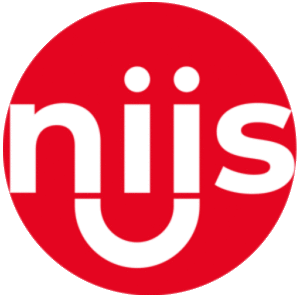 Nijsen company logo